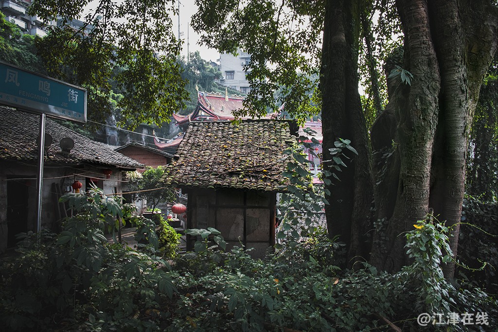 “_SDI0308”为智能对象-1.jpg