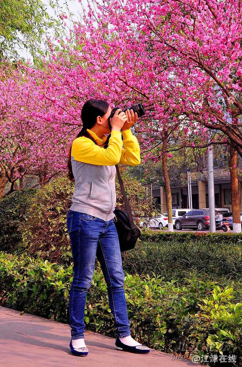 桃花 (5).jpg
