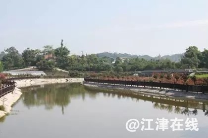 16bd-fymrcmm9144935.jpg