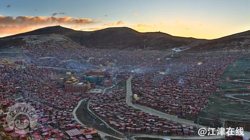 800.jpg