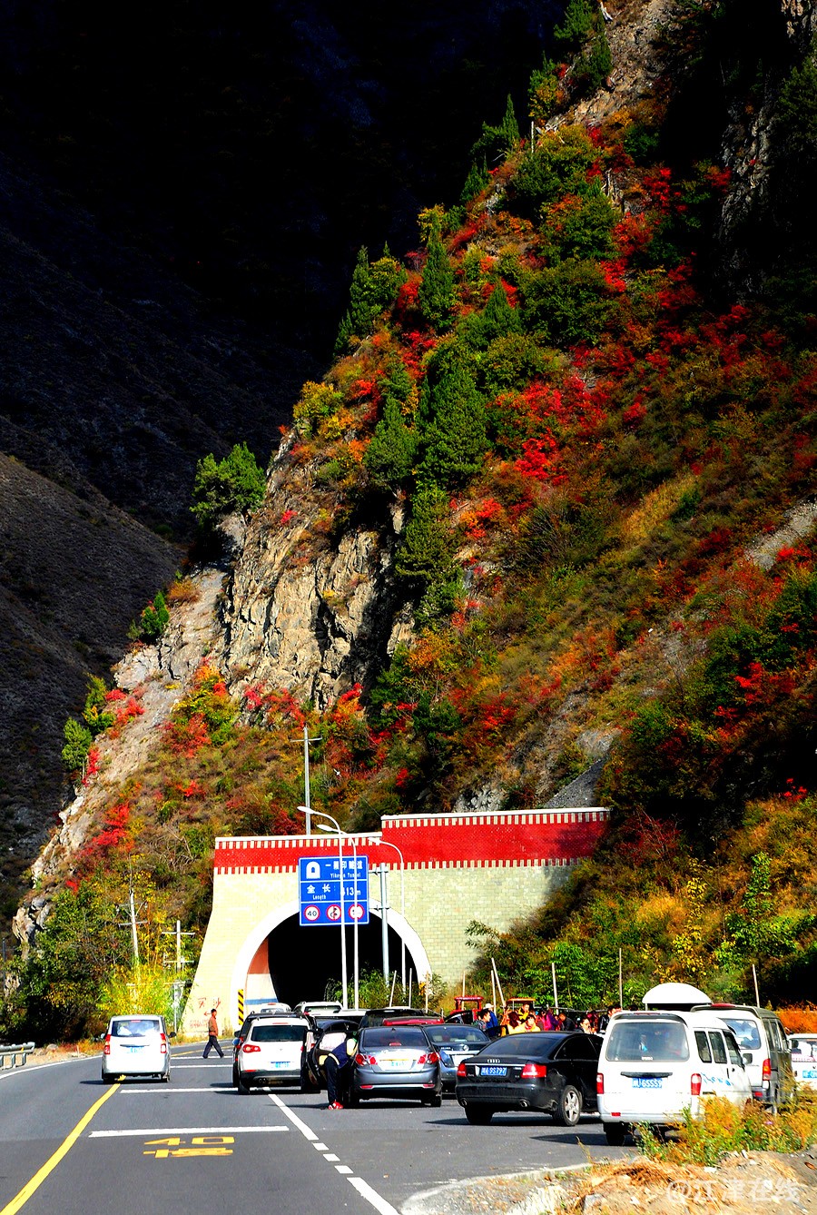 尼单拍摄 574.jpg