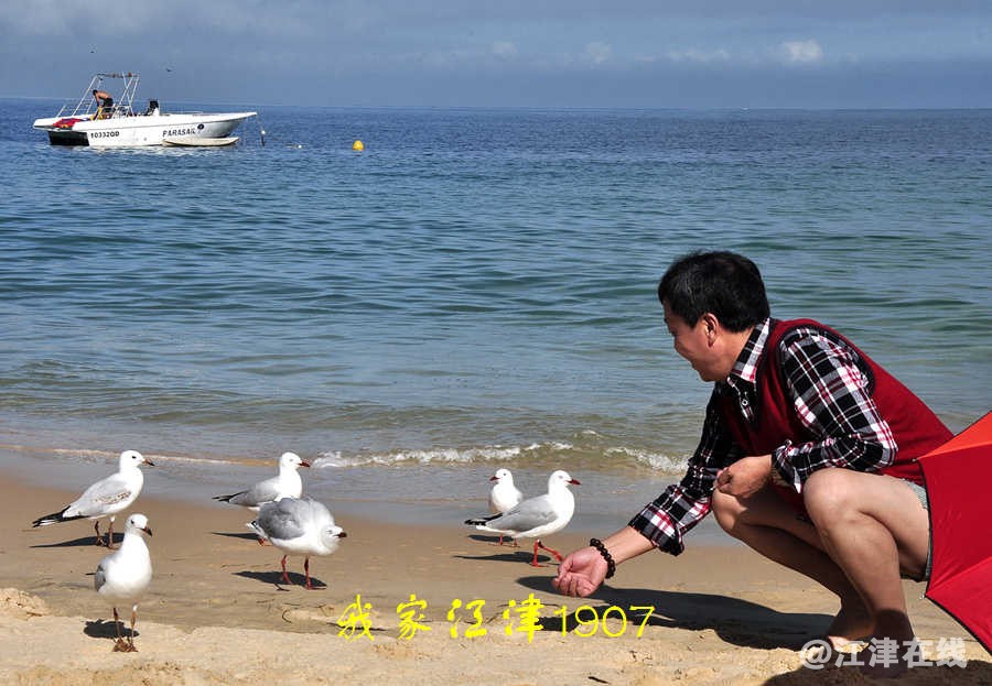 老走下载珍藏白干图片20140427 (1).jpg