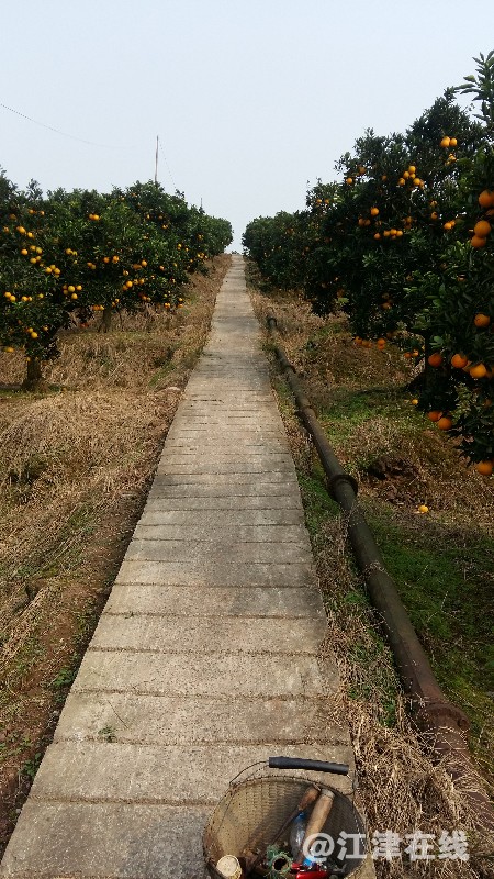 20171109_142517.jpg