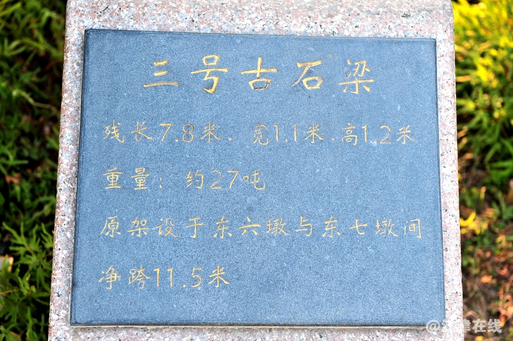 DSC_7080.JPG