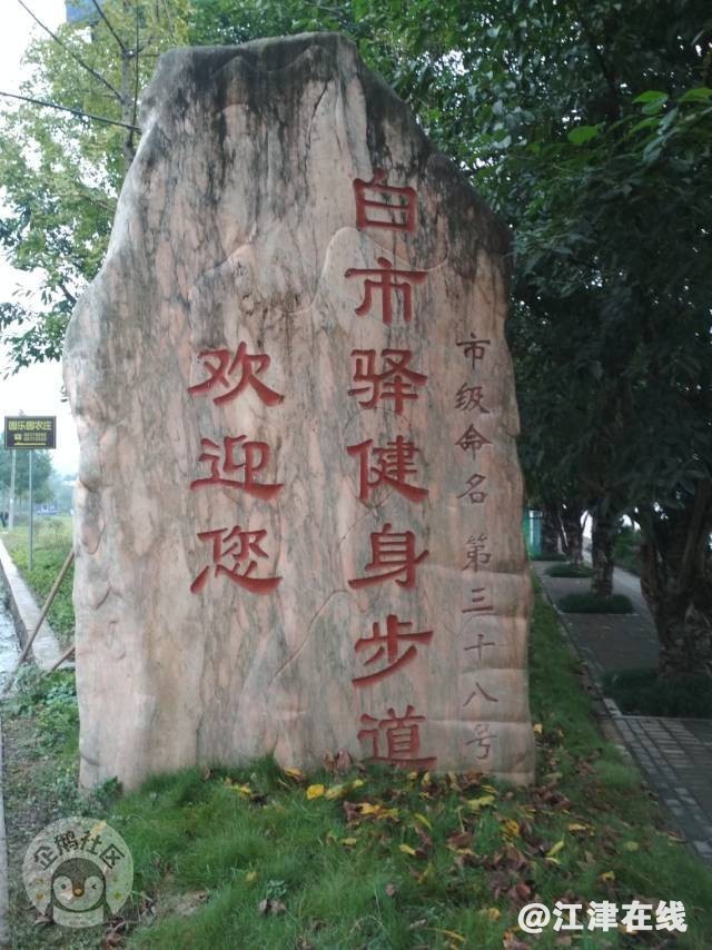 800.jpg