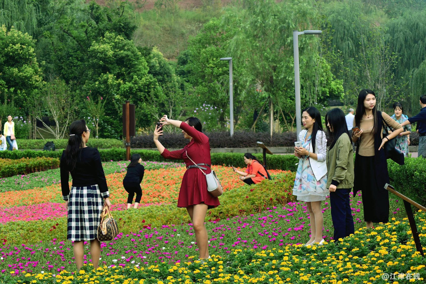 DSC_0012_副本_副本.jpg
