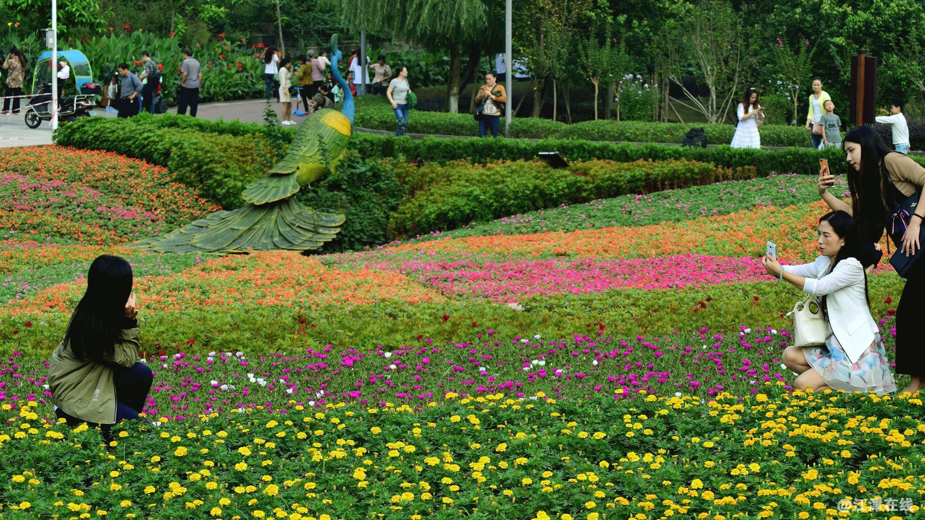 DSC_0013_副本_副本.jpg