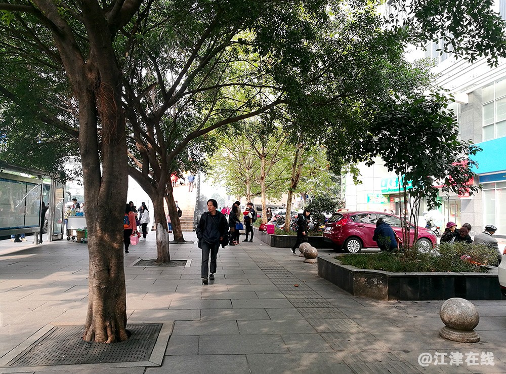 红锦大道街景花絮 (15).jpg