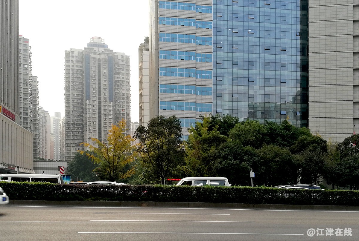 红锦大道街景花絮 (22).jpg