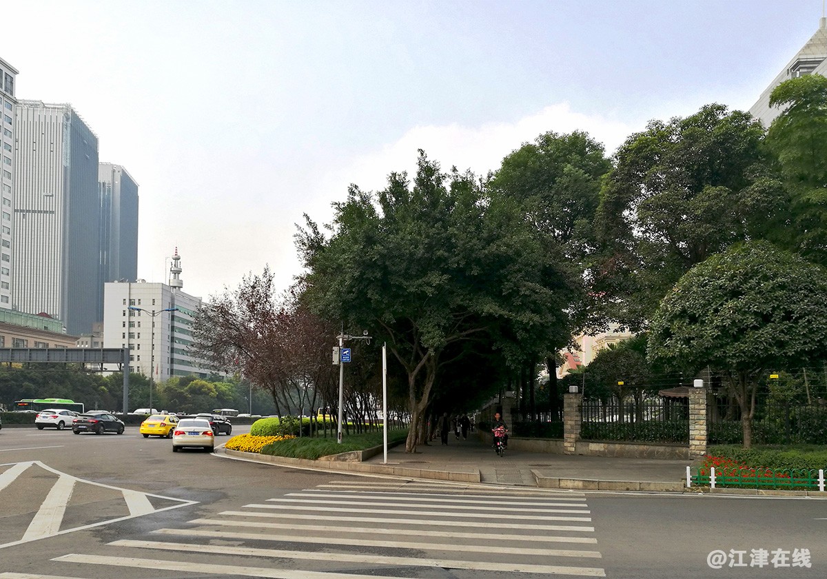 红锦大道街景花絮 (23).jpg