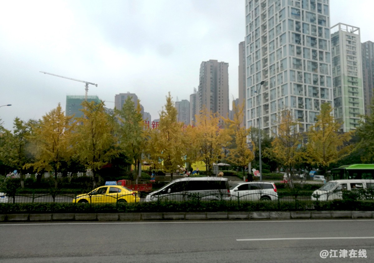 IMG_20171130_105247副本.jpg