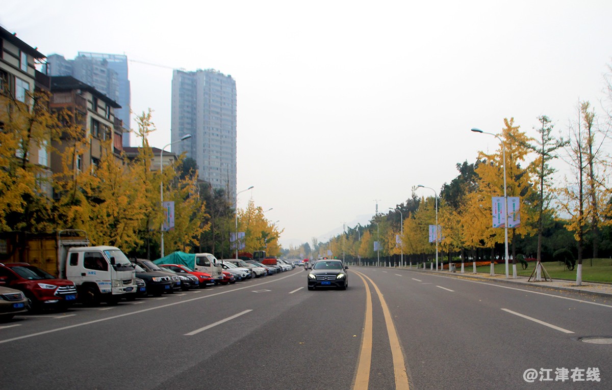 一抹金黄 (4).jpg