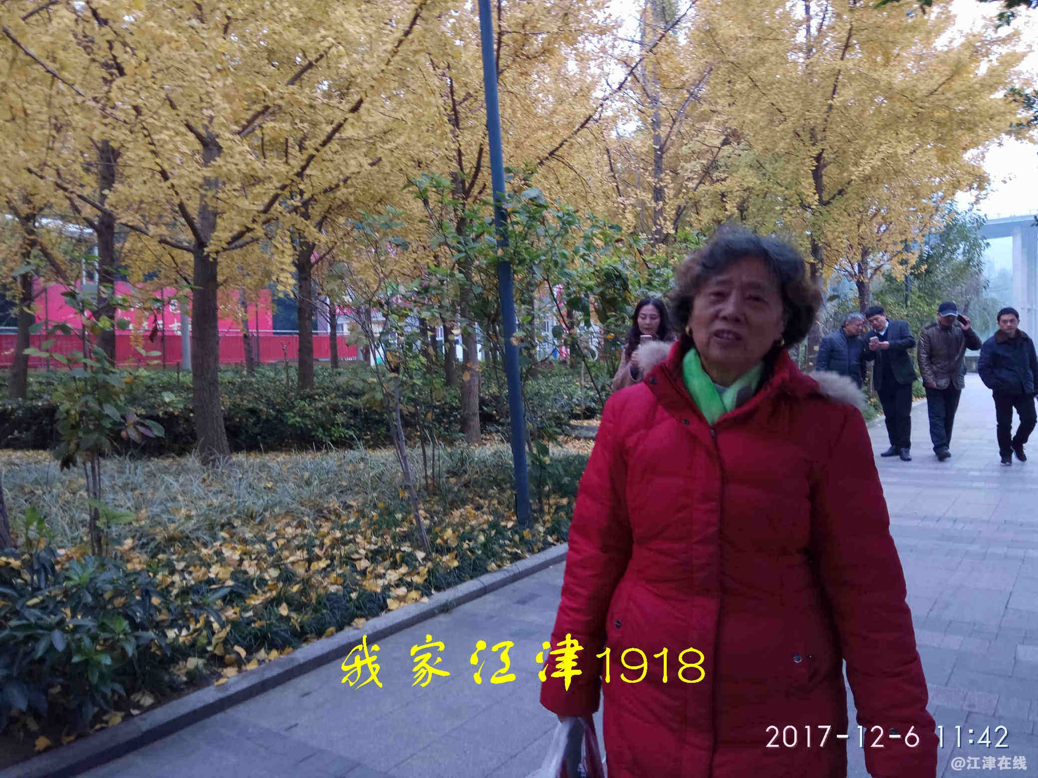 JYZ 20171206 XM (225).jpg