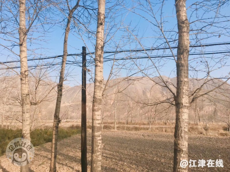 800.jpg