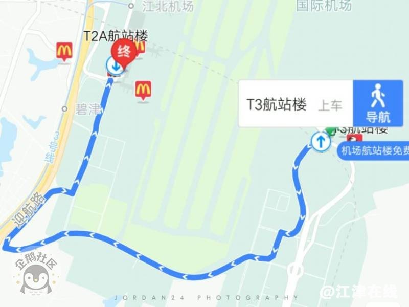 800.jpg