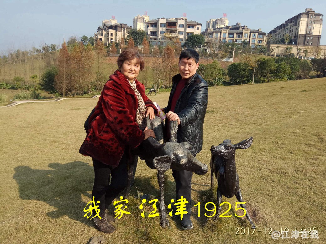 JYZ 20171219 XM (147).jpg