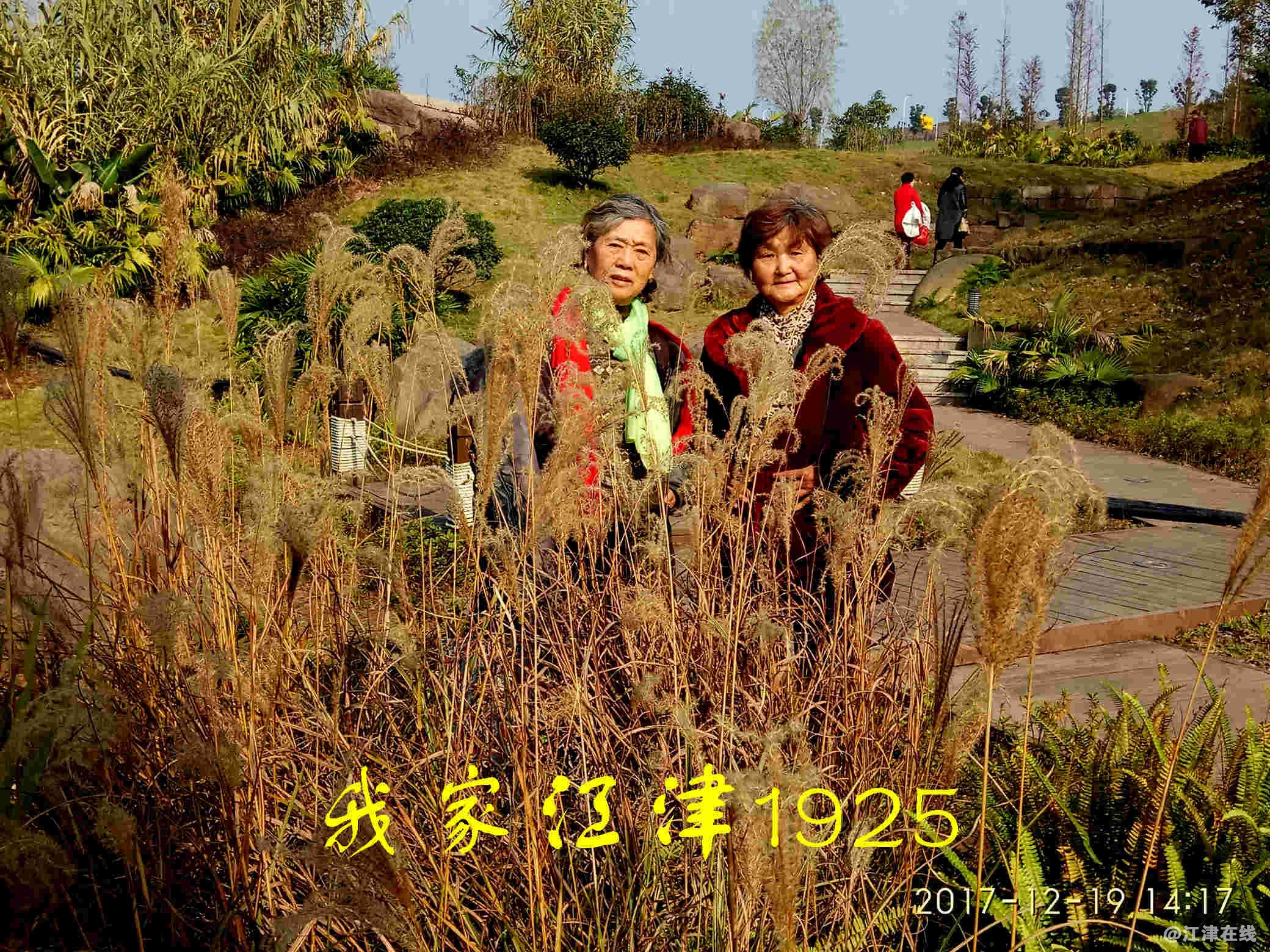 3 JYZ 20171219 XM (115).jpg