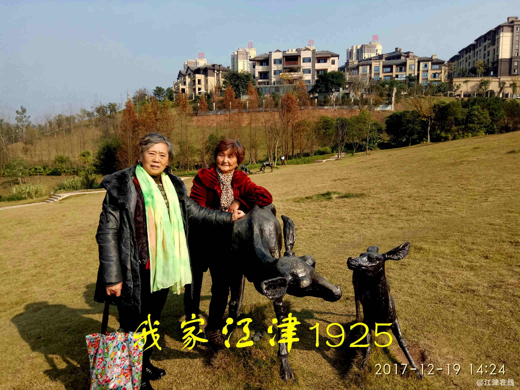 8 JYZ 20171219 XM (136).jpg