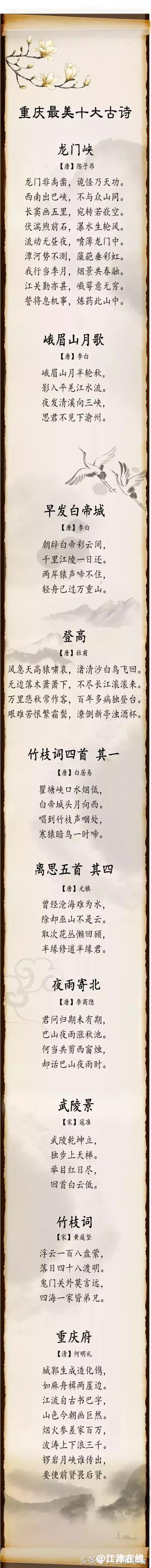 50ab000556e3256a5a37.jpg