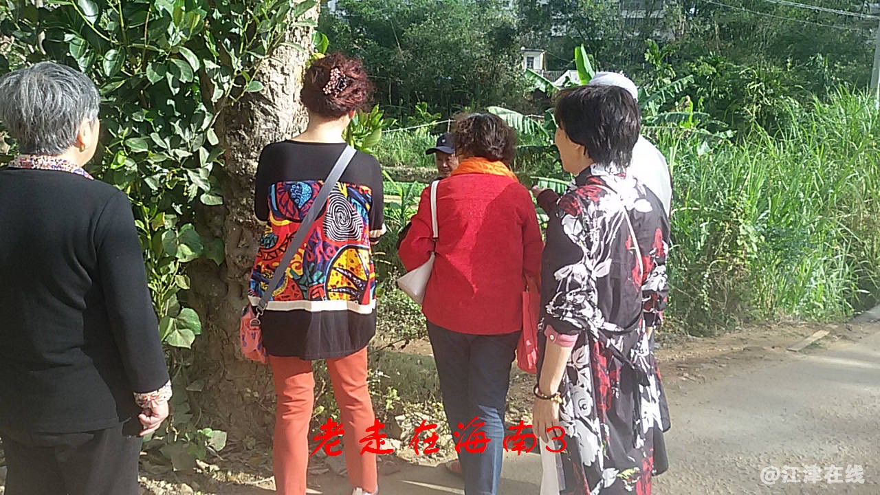 JYZ 20170116 SW-G7108V (86).jpg