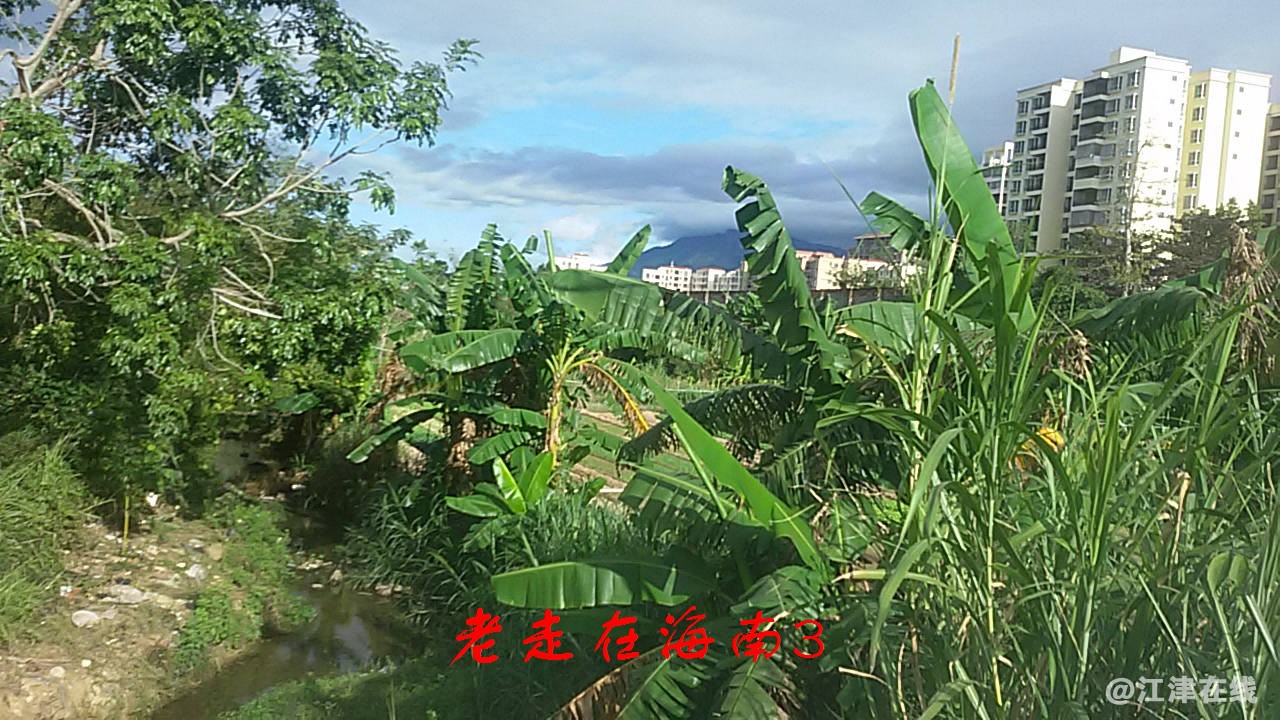 JYZ 20170116 SW-G7108V (92).jpg