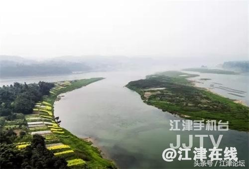 53f70002b6503896f010.jpg
