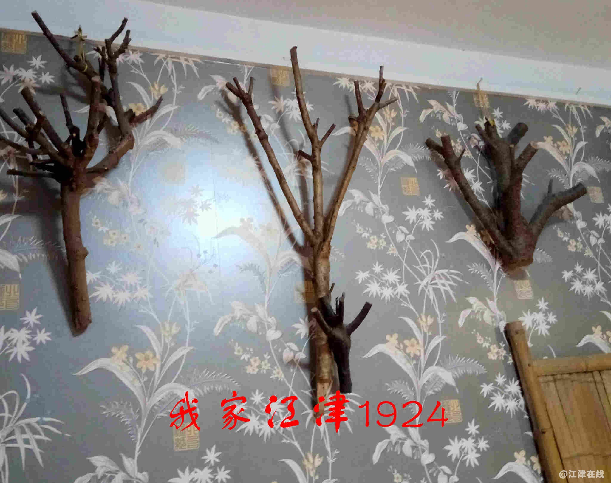 JYZ 20171217 XM (128).jpg