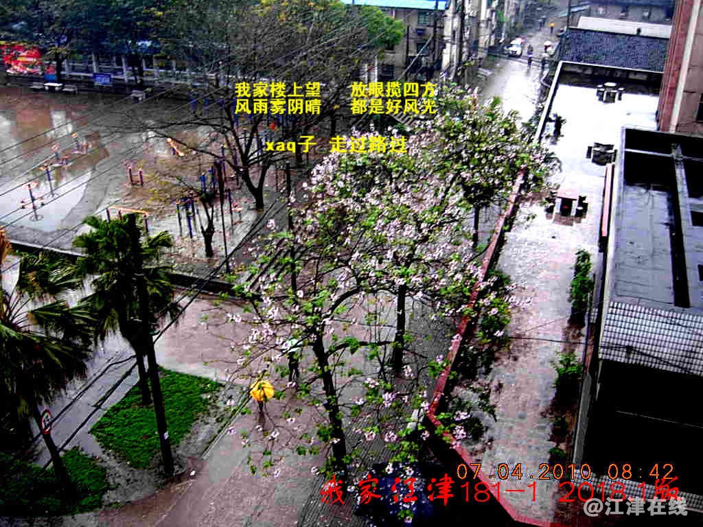 1 我家江津181 (1)-1.jpg