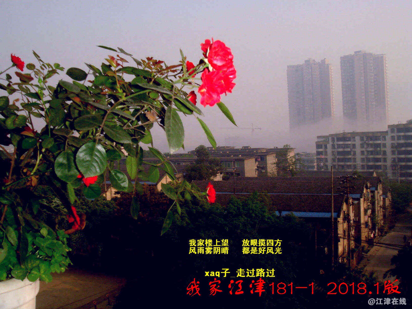 1 我家江津181 (3)-2.jpg