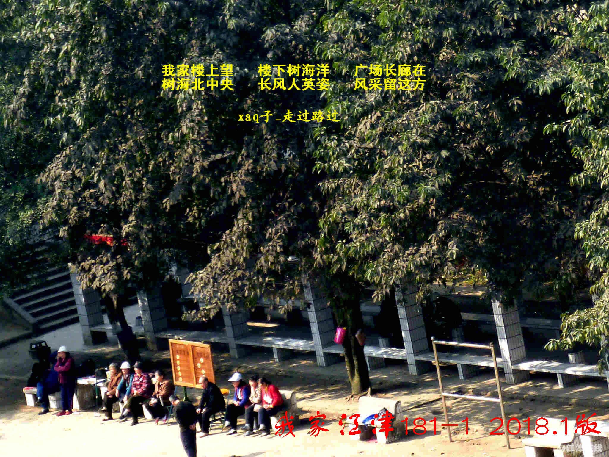 2 P1200716-2.jpg