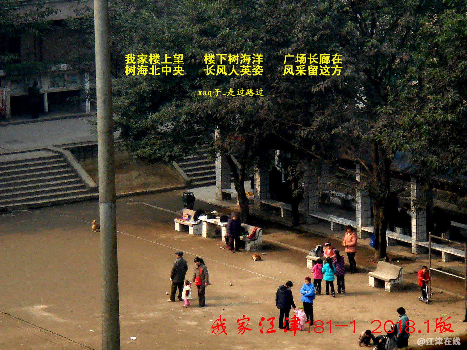 2 我家江津181 (3)-1.jpg