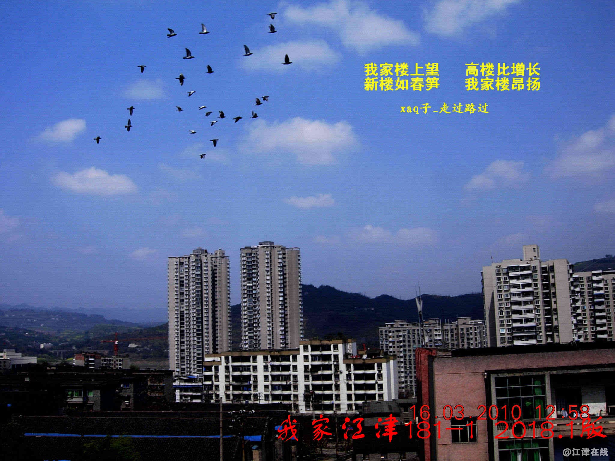 4  我家江津181-1.jpg