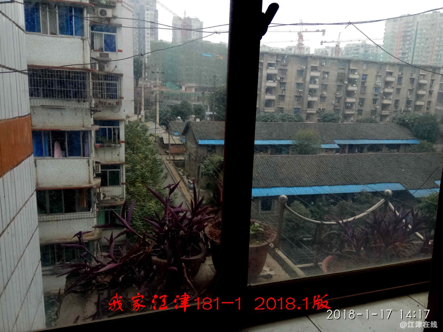 JYZ 20180117 XM (11).jpg