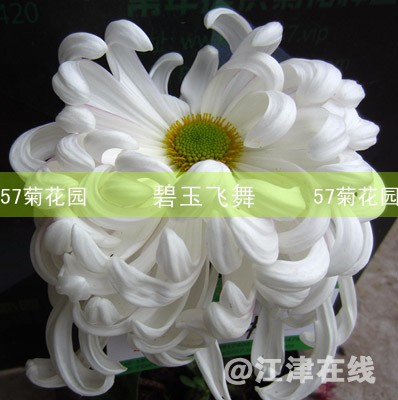K22.jpg
