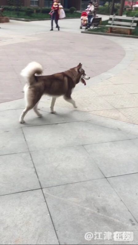 36D043AD-77B4-4A4A-9952-2E2F1D1A6C51.jpeg