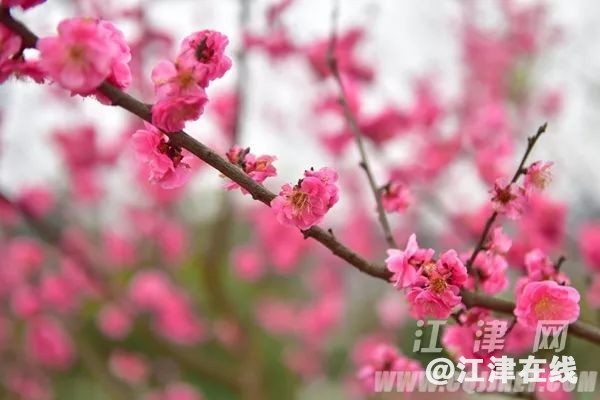 4ccc6a8f56341bfe15e517.jpg