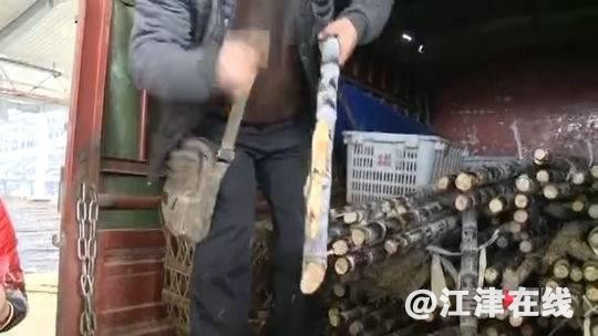 65c500045c08fc19f86d.jpg