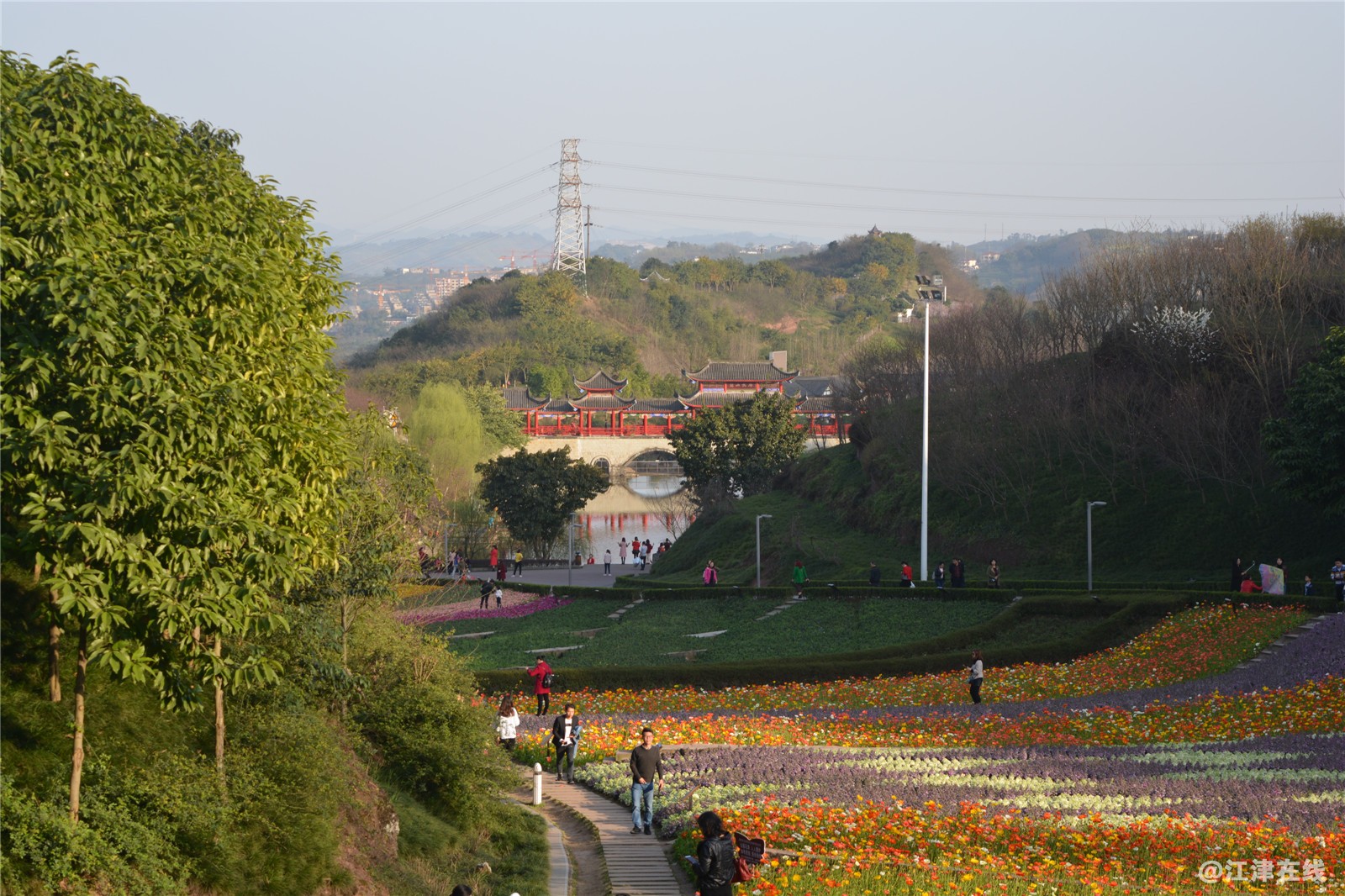 DSC_0541.jpg