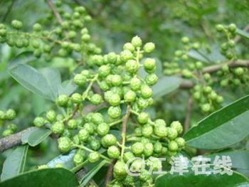 u=3038532309,1273257293&amp;fm=27&amp;gp=0.jpg