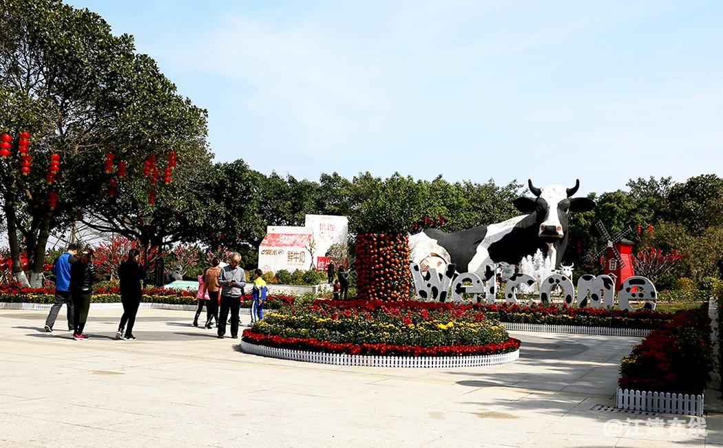 光明农场 (4).jpg
