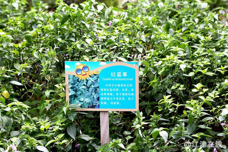 光明农场 (39).jpg