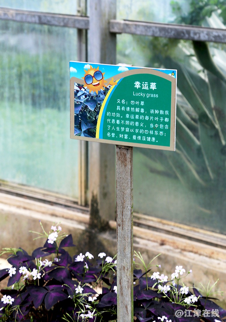 光明农场 (40).jpg