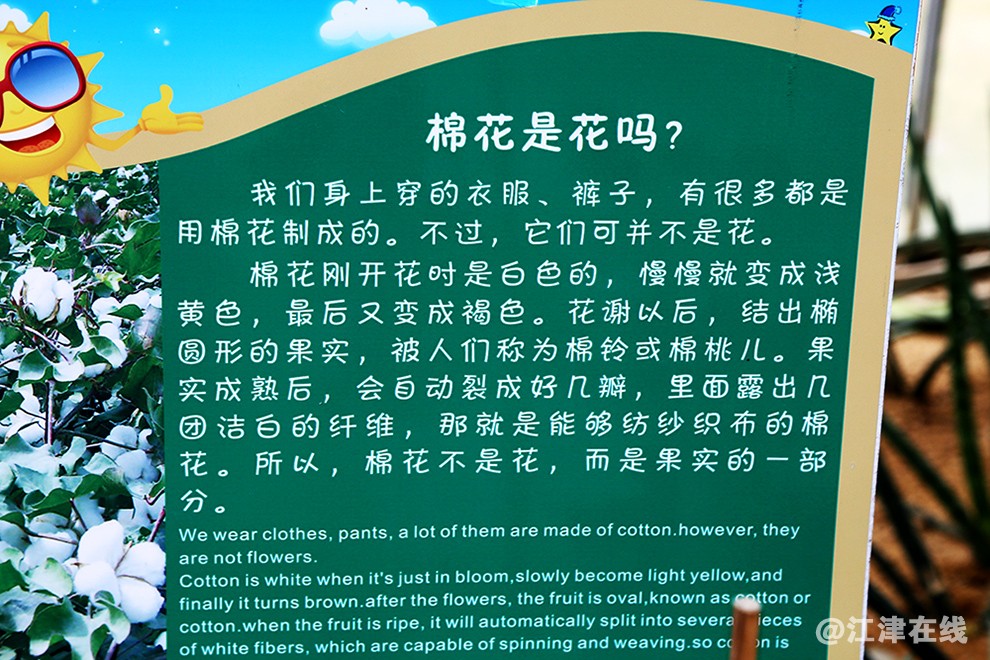 光明农场 (46).jpg