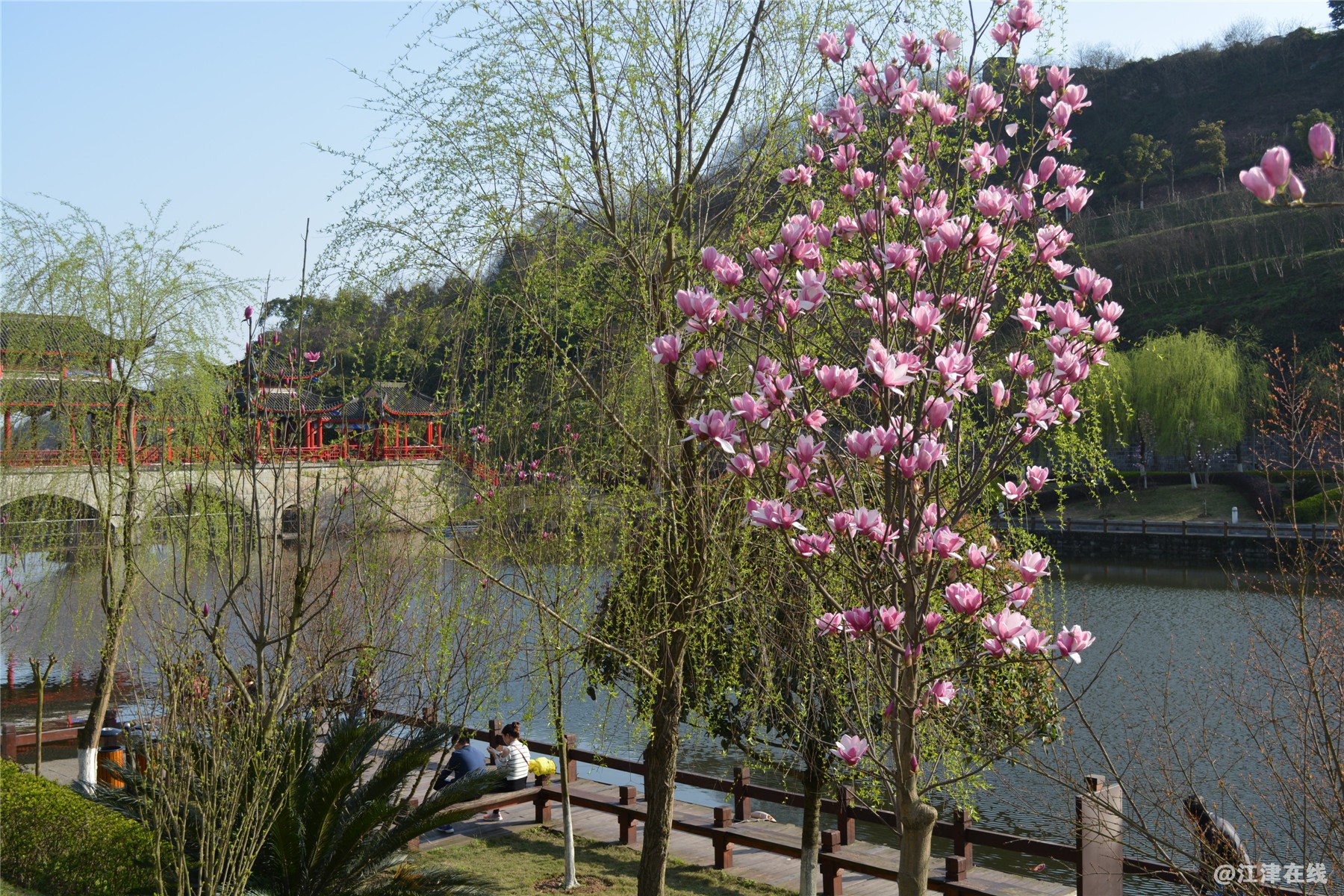 DSC_0522_副本.jpg