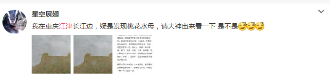 QQ图片20180312094223.png