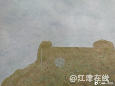 6a89f985ly1fp7mwd3igpj20zk0qogpo.jpg