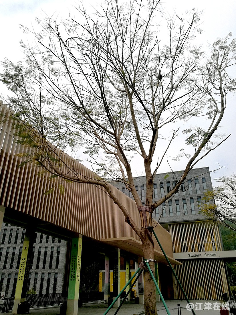 学 (18).jpg