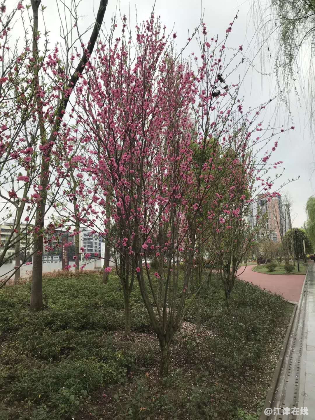 微信图片_20180319142351.jpg