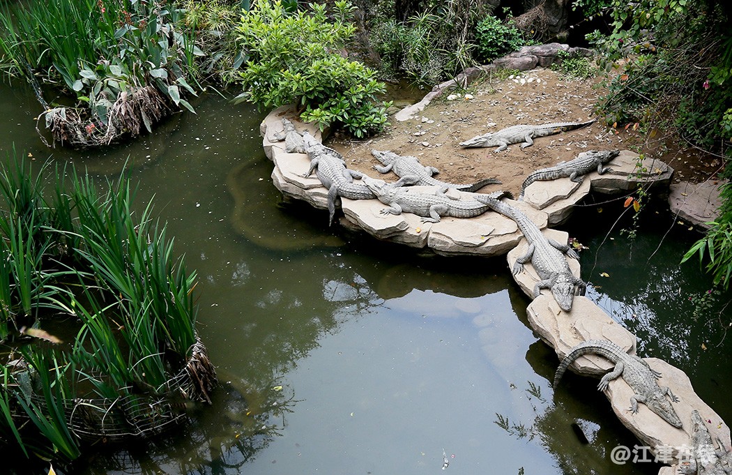 农 (33).jpg