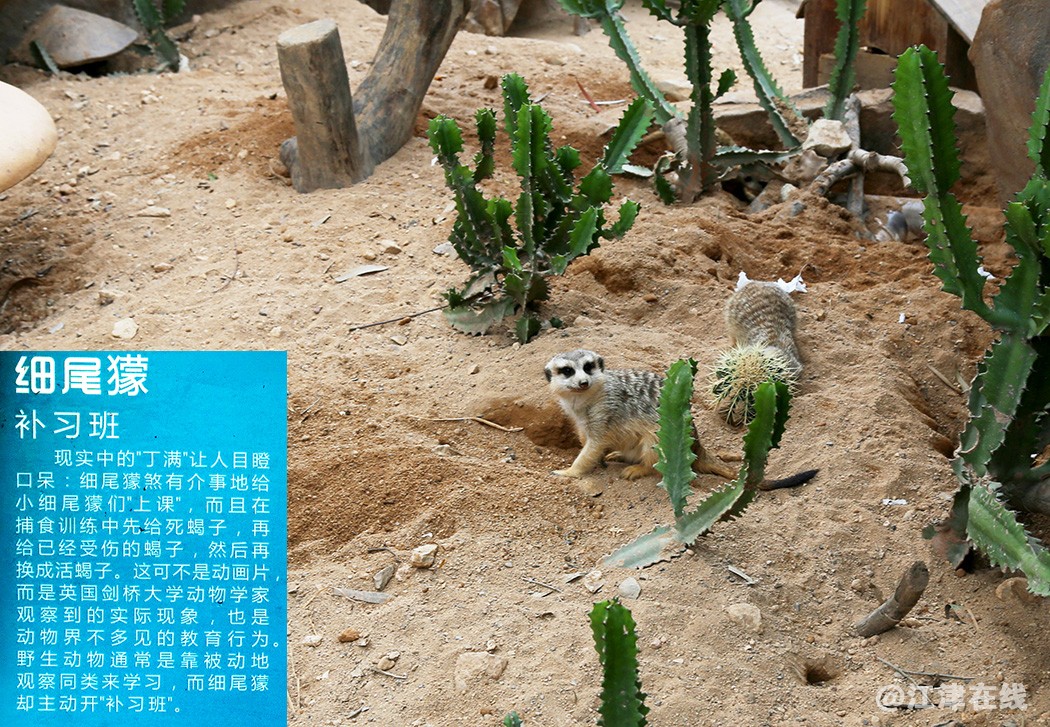 农 (41).jpg